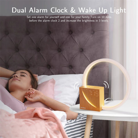 Touch Bedside Lamp with Alarm