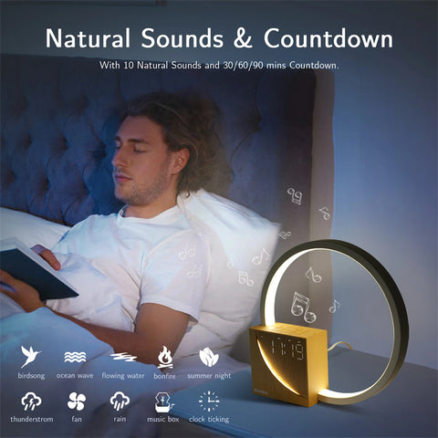 Touch Bedside Lamp with Alarm