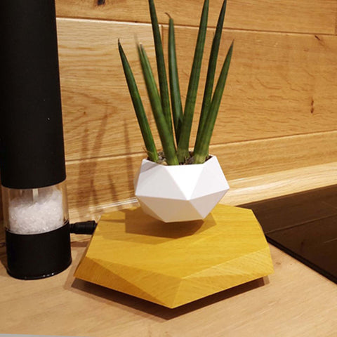 Floating Magnetic Flower Pot